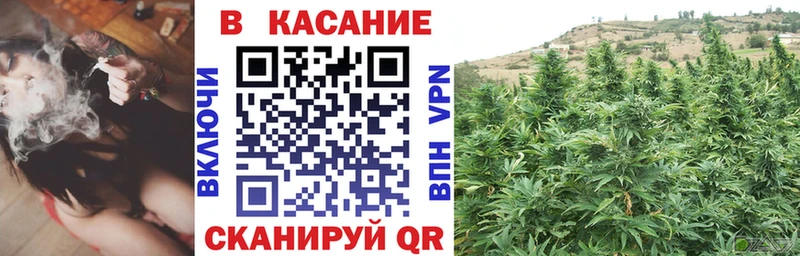 Купить Покачи Конопля ГАШ