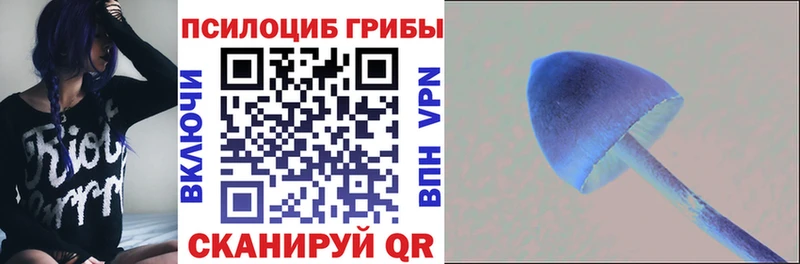 Псилоцибиновые грибы мицелий  Покачи 